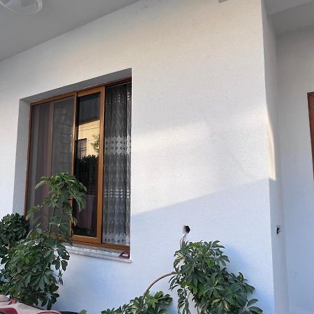 David Guesthouse Shkodër Екстериор снимка